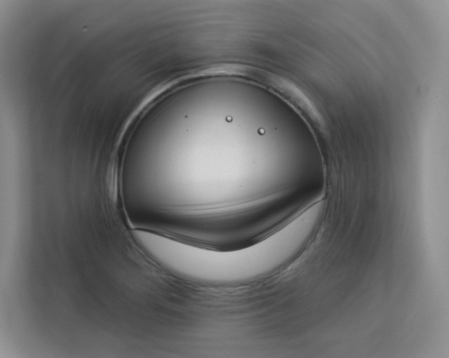 X0000113321276200909281200