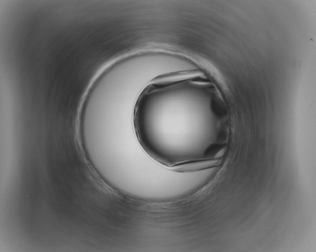 X0000113321280200909281159