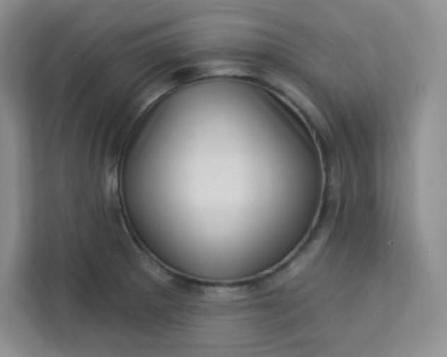 X0000113321281200909281159