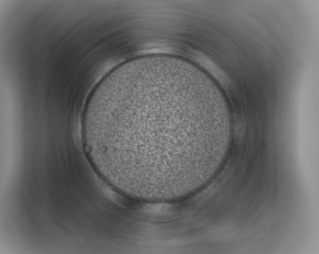 X0000113321282200909281159