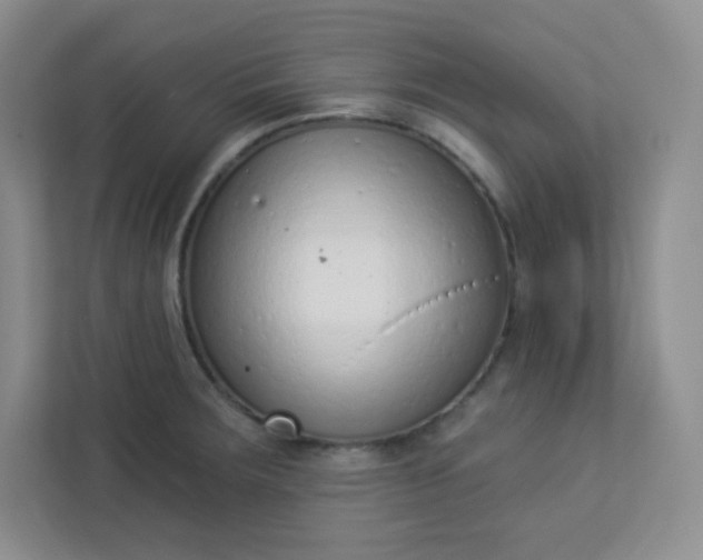 X0000113321283200909281159