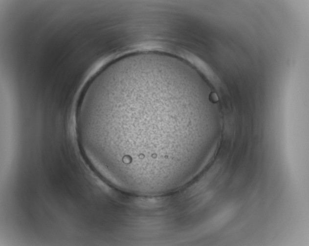 X0000113321286200909281159