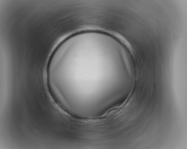 X0000113321287200909281159