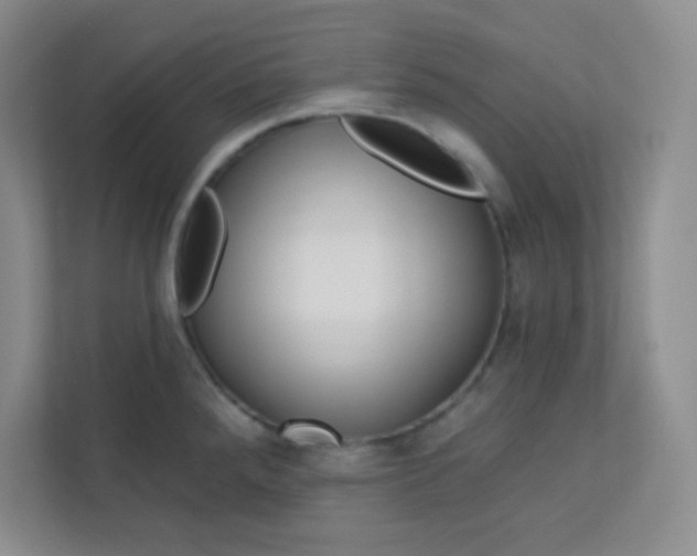 X0000113321288200909281159