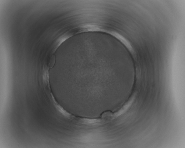 X0000113321289200909281159