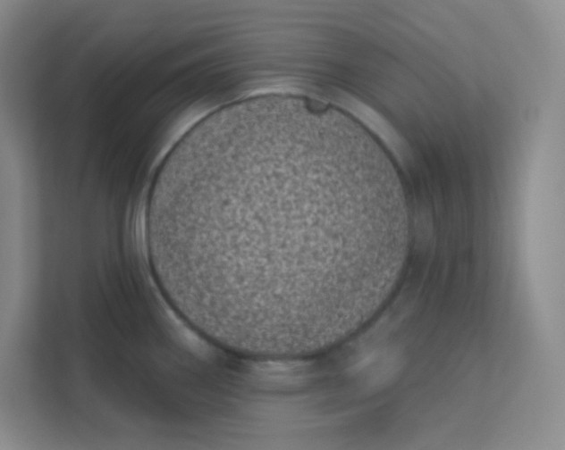 X0000113321290200909281159