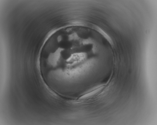 X0000113321291200909281159