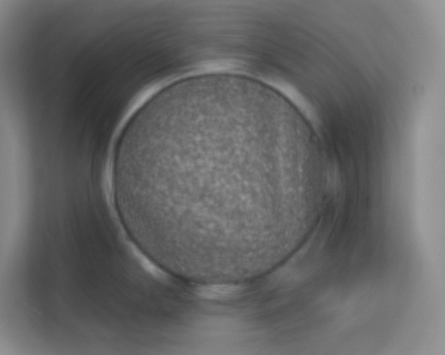 X0000113321294200909281159