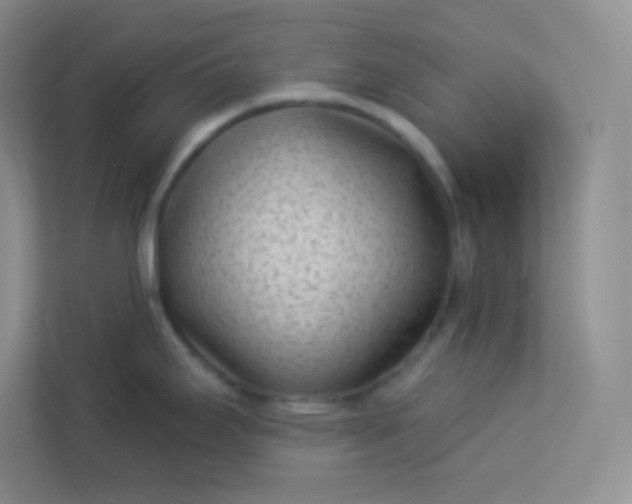 X0000113321295200909281159