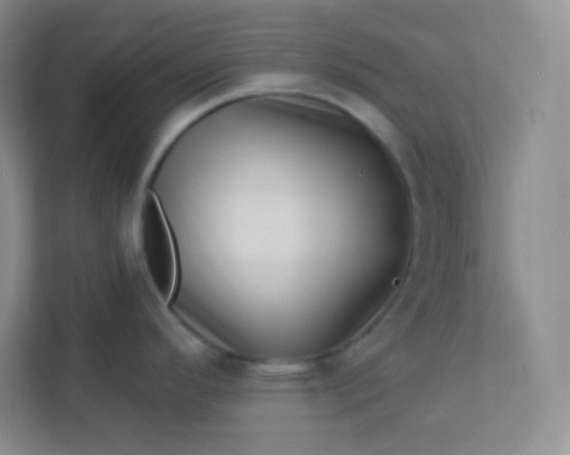 X0000113321296200909281159