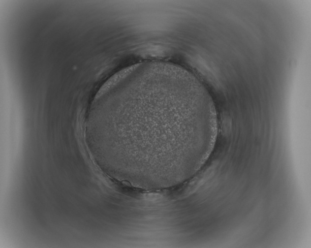 X0000113321297200909281159