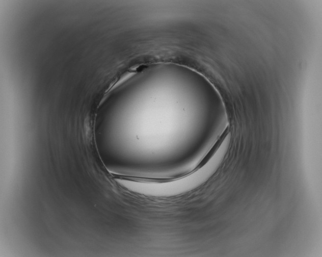 X0000113321298200909281159