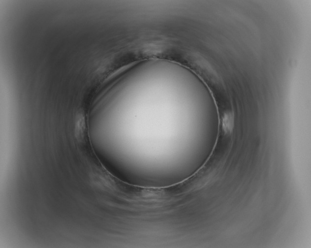 X0000113321299200909281159