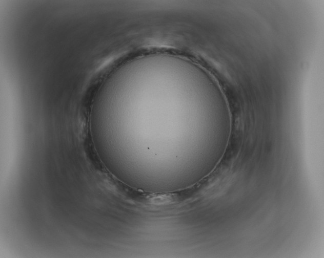 X0000113321303200909281159