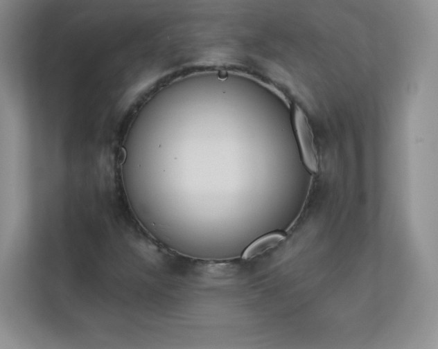 X0000113321304200909281159