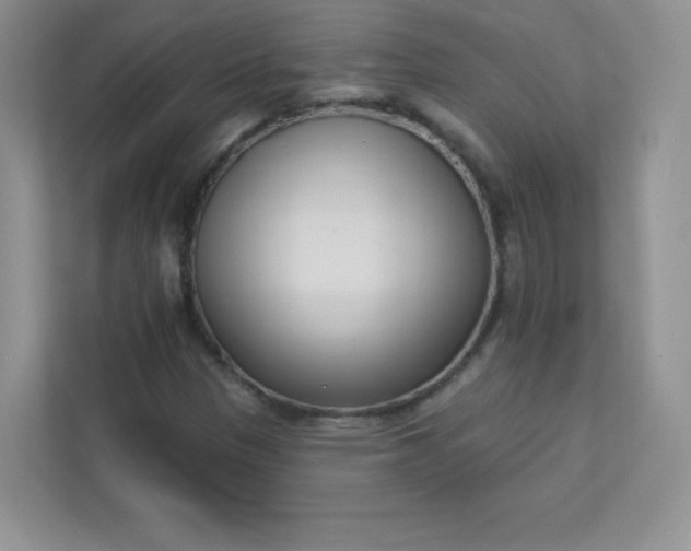 X0000113321305200909281159