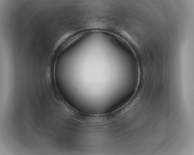 X0000113321307200909281159