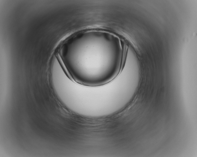 X0000113321308200909281159