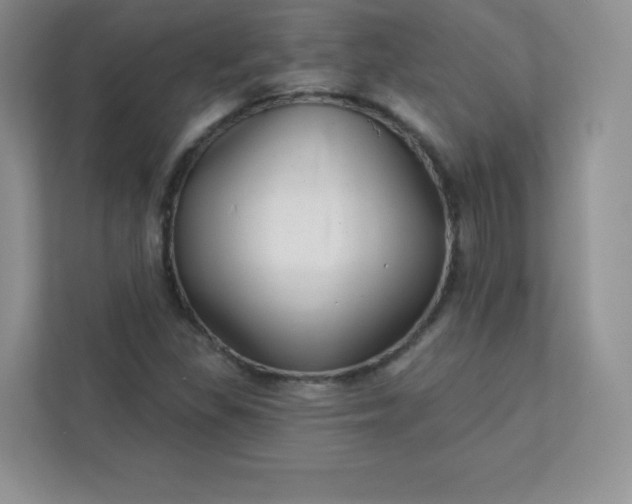 X0000113321309200909281159