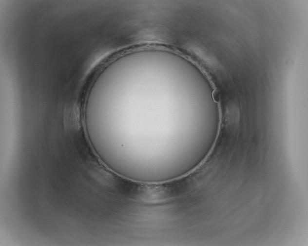 X0000113321310200909281159