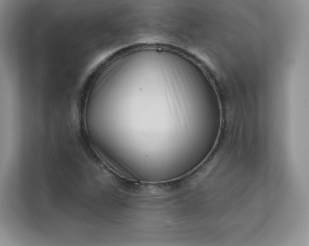 X0000113321311200909281159