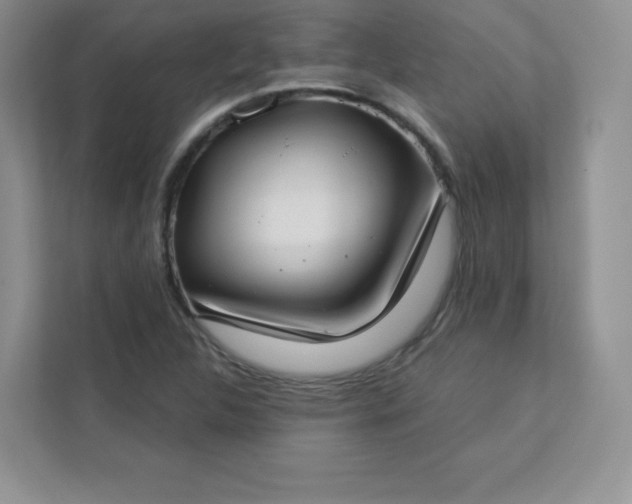 X0000113321312200909281159