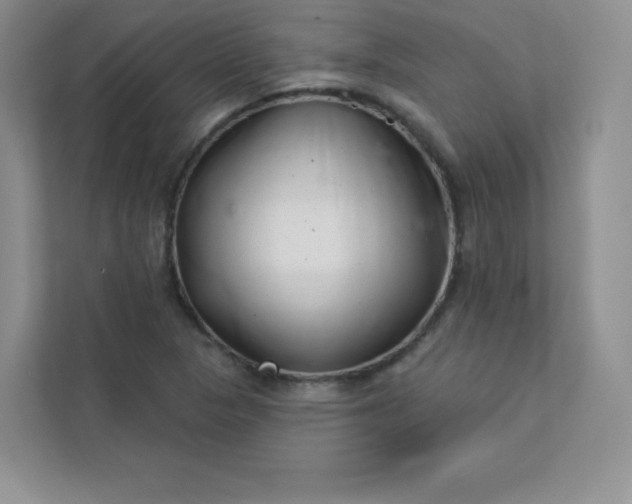 X0000113321313200909281159