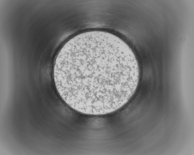 X0000113321314200909281159