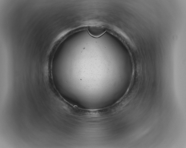 X0000113321315200909281159