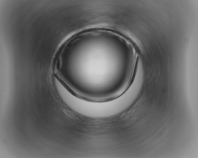 X0000113321316200909281159