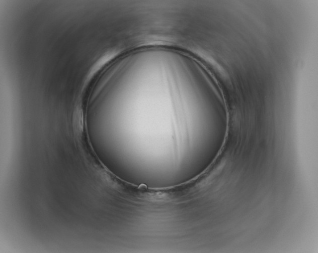 X0000113321317200909281159