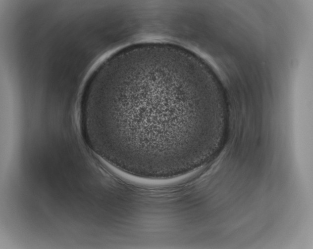 X0000113321319200909281159