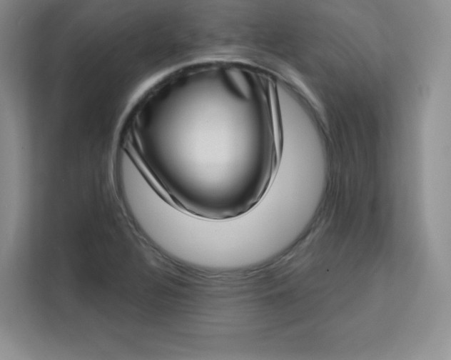 X0000113321320200909281159