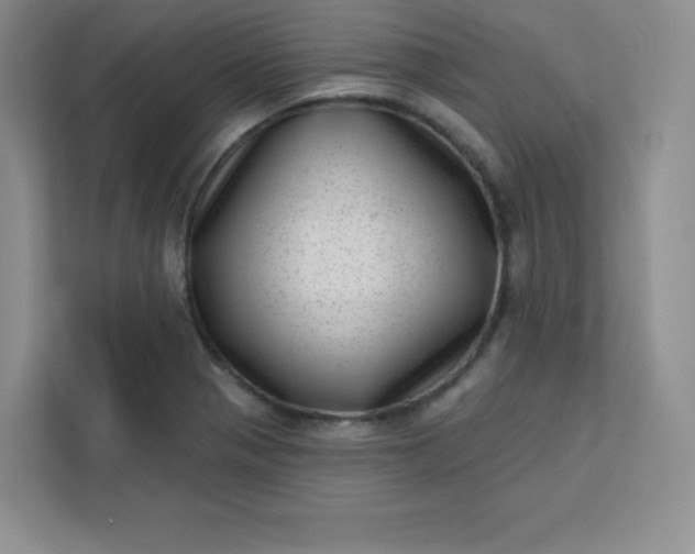 X0000113321321200909281159