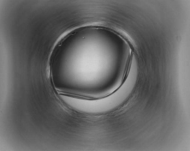 X0000113321324200909281159