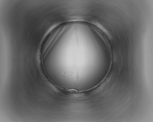 X0000113321325200909281159