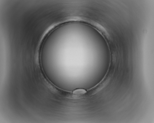 X0000113321326200909281159