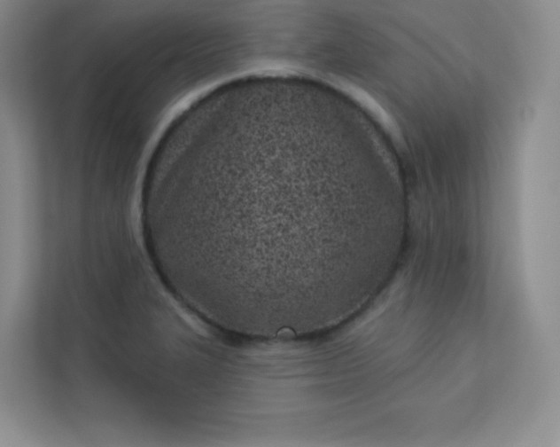 X0000113321327200909281159