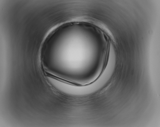 X0000113321328200909281159