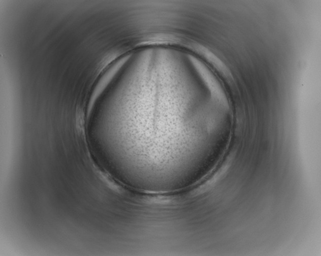 X0000113321329200909281159