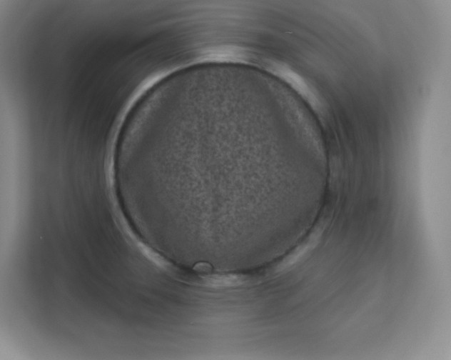 X0000113321331200909281159