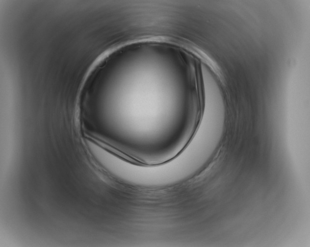 X0000113321332200909281159