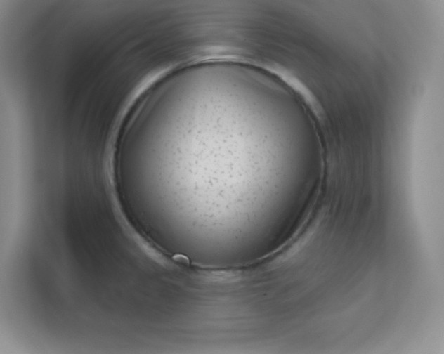 X0000113321333200909281159