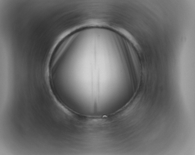 X0000113321335200909281159