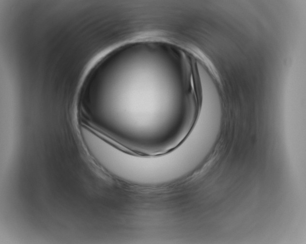 X0000113321336200909281159