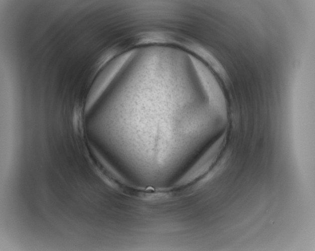 X0000113321337200909281159