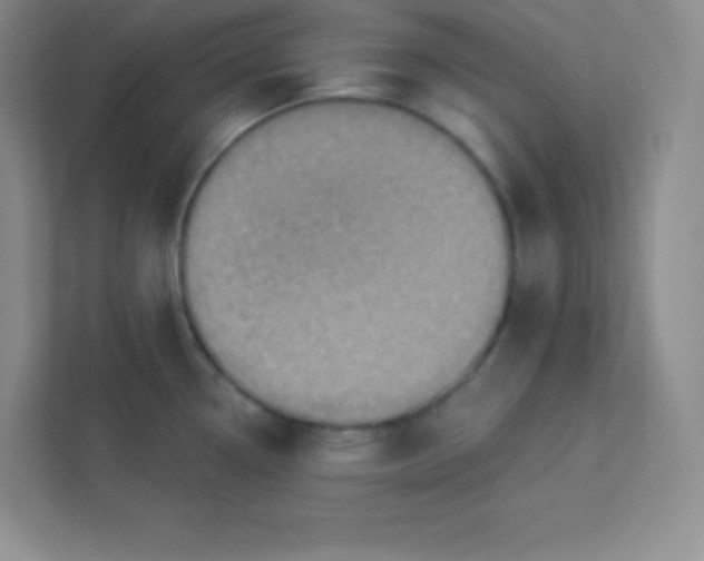 X0000113321338200909281159