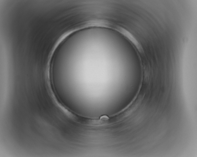 X0000113321339200909281159