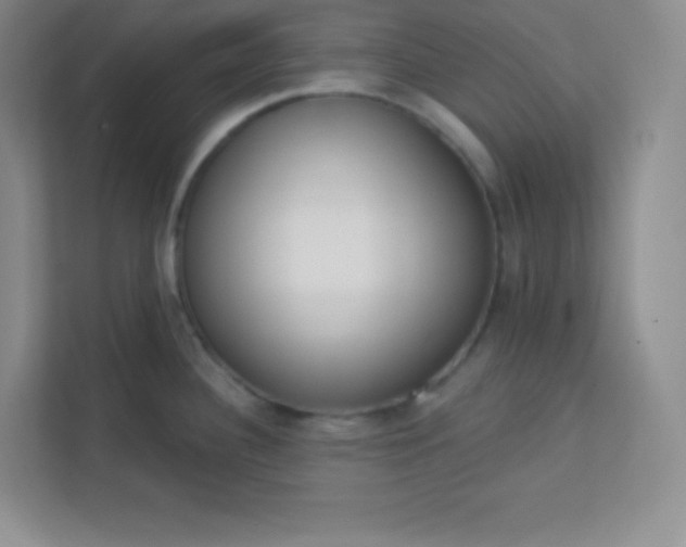 X0000113321340200909281159