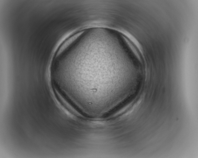 X0000113321341200909281159